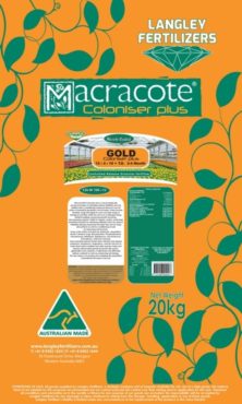 Macracote Coloniser Gold