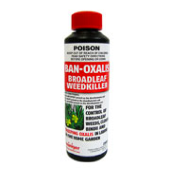 Ban Oxalis Broadleaf