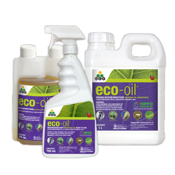 Eco Oil