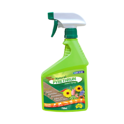 Pyrethrum Insect Spray