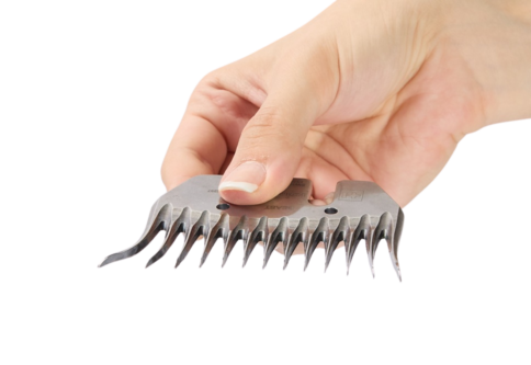 Beast Hand Shot