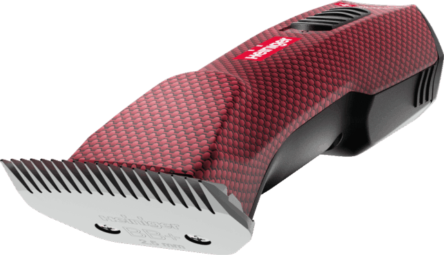 Opal Xtend Dynamic Angle