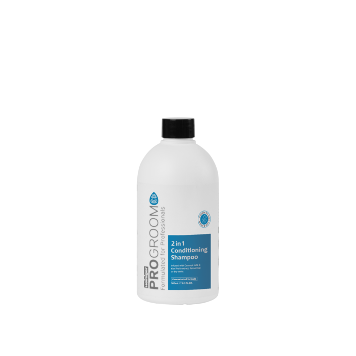 2 In 1 Conditioning 500Ml