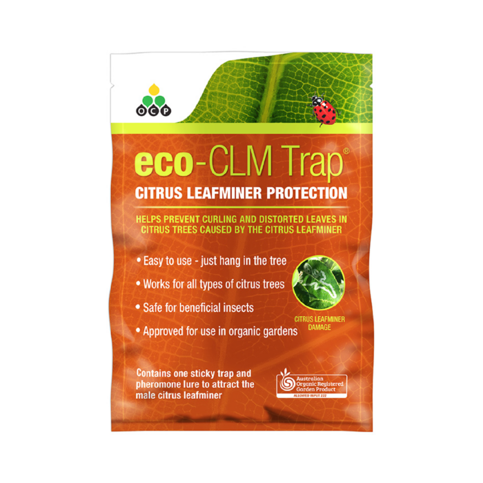 Clm Trap