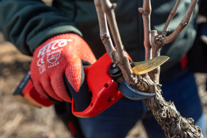 Felco 834 Vine 03