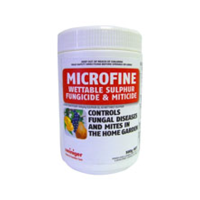 Microfine 500G