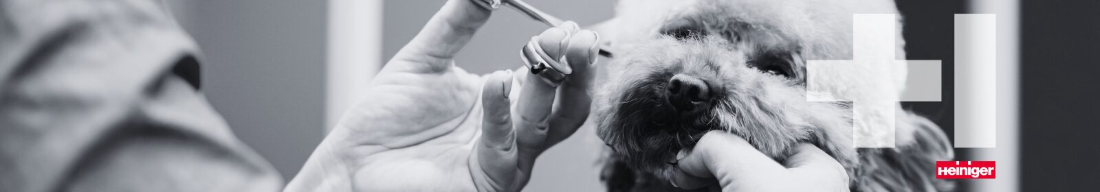 Pet Groom Scissors