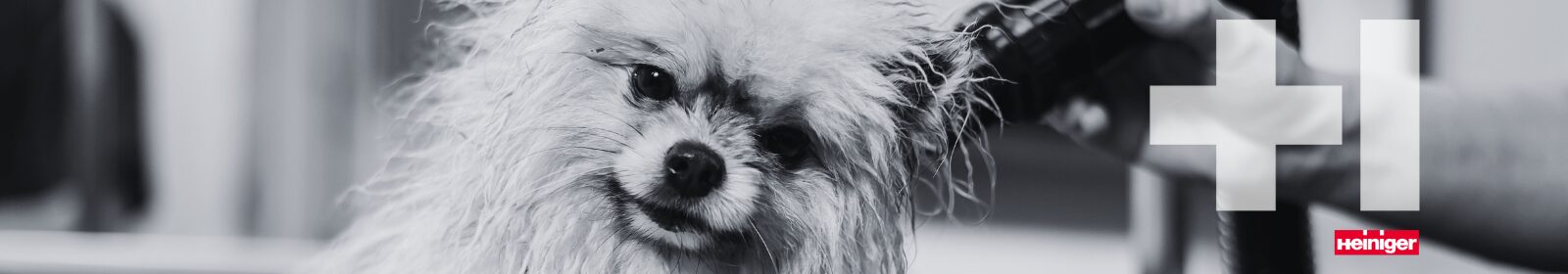 Pet Groom Shampoo 2