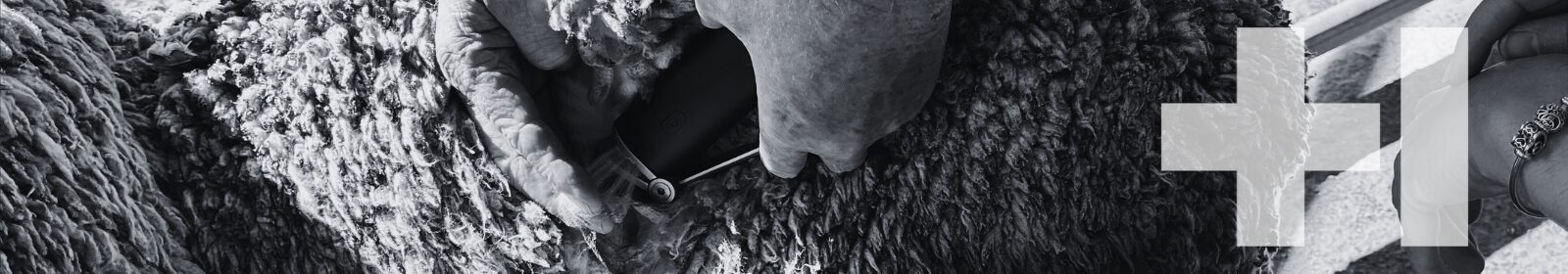 Website Product Default Banner Sept25 Woven Optics