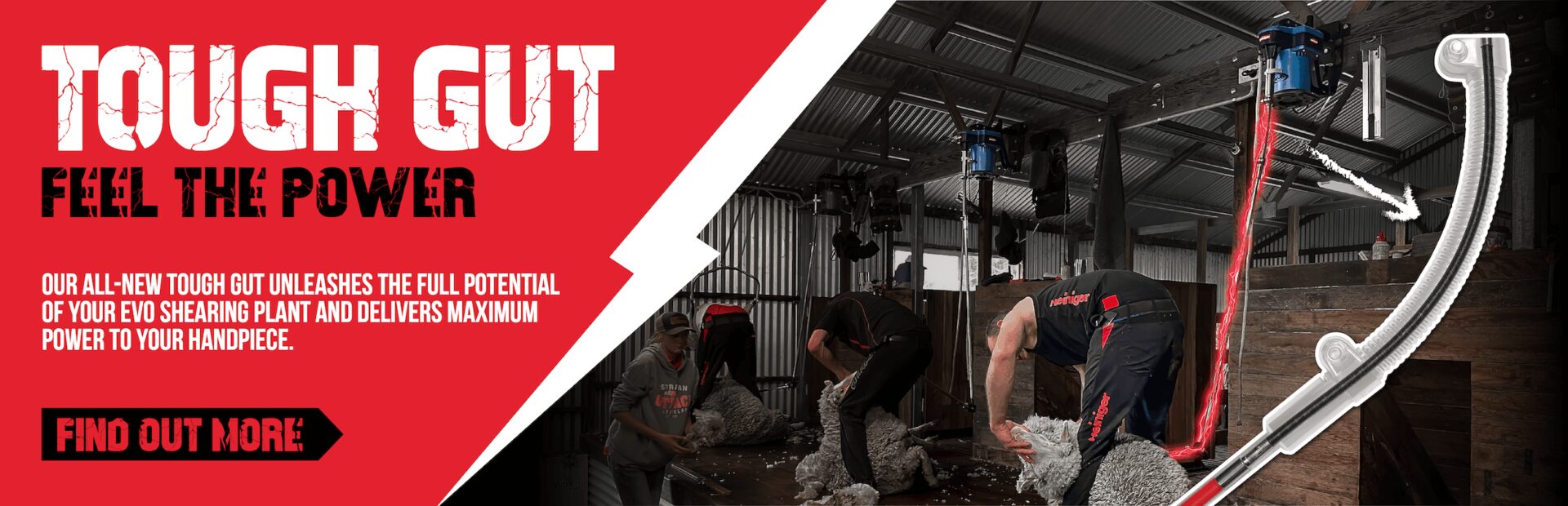 Tough Gut Homepage Banner